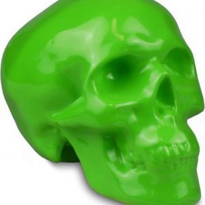 Skull Money Box