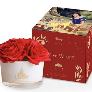 Snow white diffuser